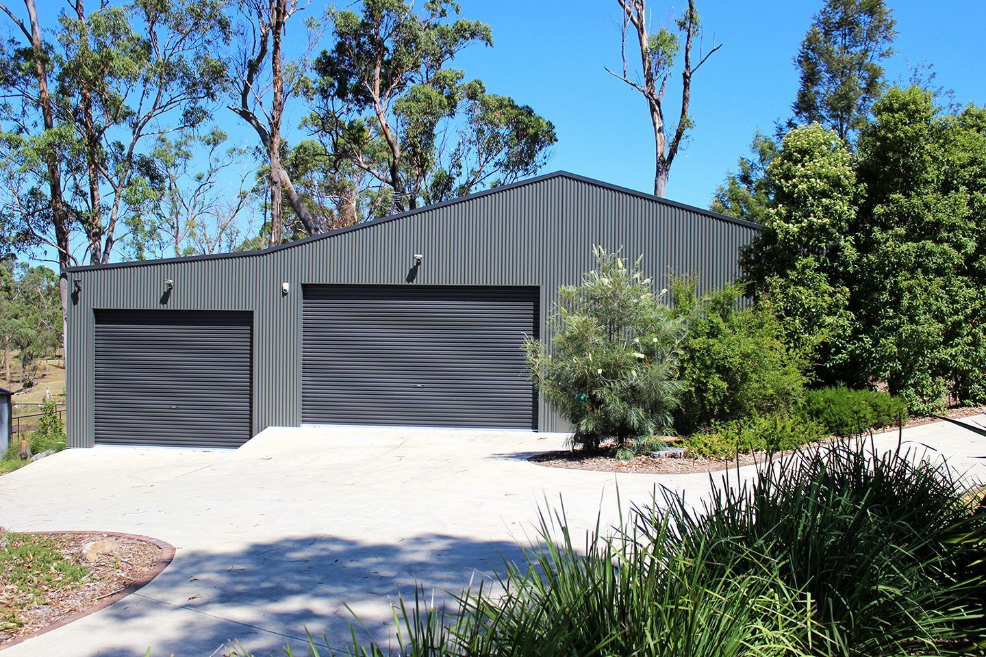 Dark grey corrugated steel shed with two roller doors, surrounded by native trees and bushes, and a concrete driveway in front on a clear sunny day.